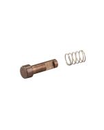 Small plunger and silver spring 