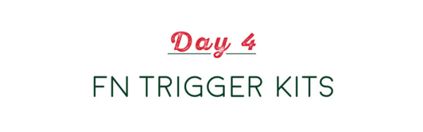 Day 4 of the 12 Days Of Apexmas - FN 509 Trigger Kits
